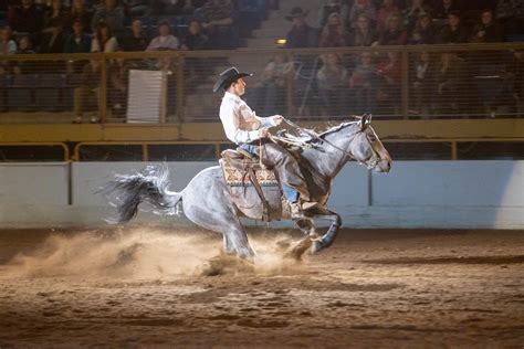 freestyle reining national western stock show.